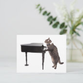 Carte Postale Chat Jouer Piano (Debout devant)