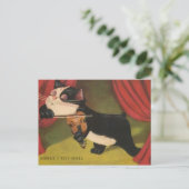 Carte Postale Chat Jouer Sonet Sur Violon De 1909 PC (Debout devant)