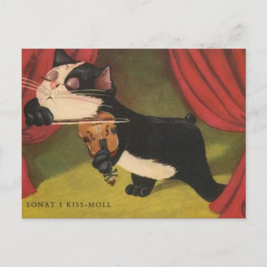 Carte Postale Chat Jouer Sonet Sur Violon De 1909 PC (Devant)