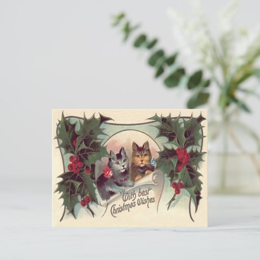 Carte Postale Chat Kitten Holly (Debout devant)