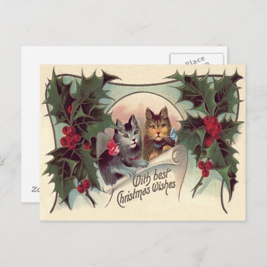 Carte Postale Chat Kitten Holly (Devant / Derrière)