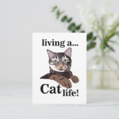 Carte Postale Chat Kitty Drôle (Debout devant)