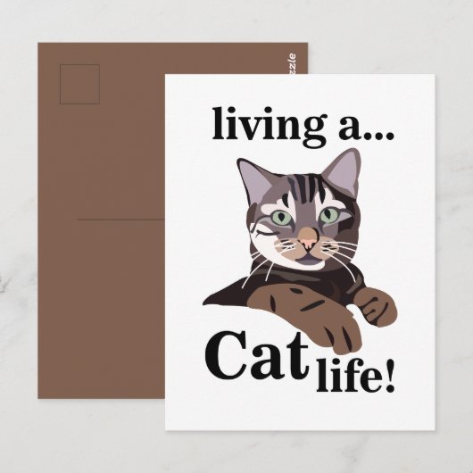 Carte Postale Chat Kitty Drôle (Devant / Derrière)
