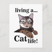 Carte Postale Chat Kitty Drôle (Devant)
