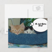 Carte Postale Chat Kitty noir et blanc (Devant / Derrière)