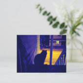 Carte postale : Chat la nuit dans l'ancien quartie (Debout devant)