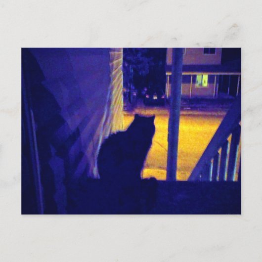 Carte postale : Chat la nuit dans l'ancien quartie (Devant)