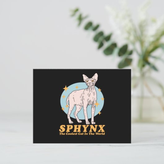 Carte Postale Chat le plus froid de Sphynx | Chats Sphynx (Debout devant)