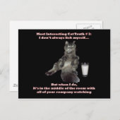 Carte Postale Chat le plus intéressant #3.jpg (Devant / Derrière)
