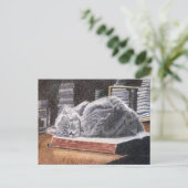 Carte Postale Chat Librairie (Debout devant)