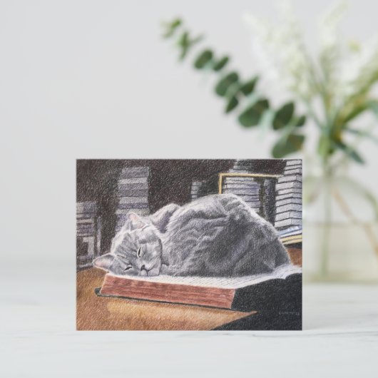 Carte Postale Chat Librairie (Debout devant)