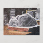 Carte Postale Chat Librairie (Devant)