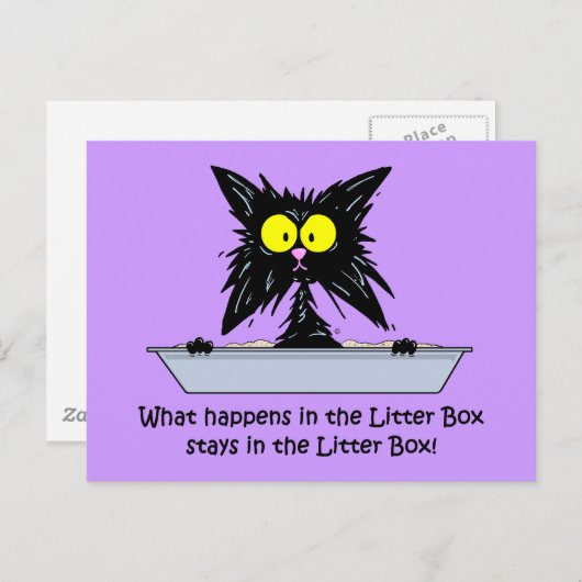 Carte Postale Chat Litterbox (Devant / Derrière)