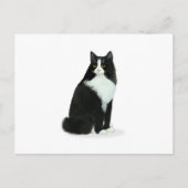 Carte Postale Chat long Haired Tuxedo (Devant)