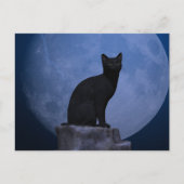 Carte Postale Chat Lune (Devant)