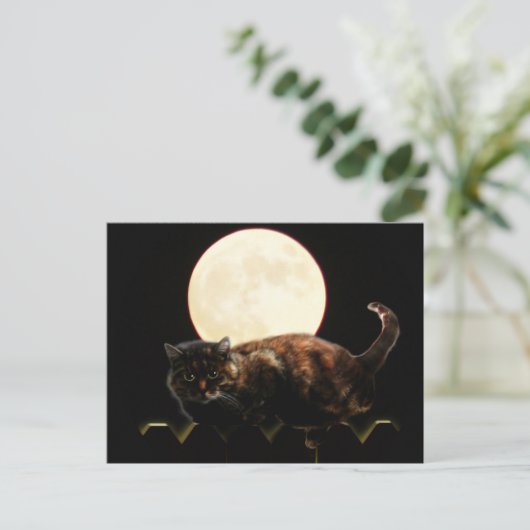 Carte Postale Chat Lune sur une clôture avec Pleine lune (Debout devant)