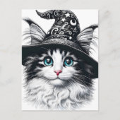 Carte Postale Chat magique mignonne dans Assistant Casquette Spl (Devant)