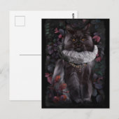 Carte Postale Chat Maine Coon en costume aristocratique (Devant / Derrière)