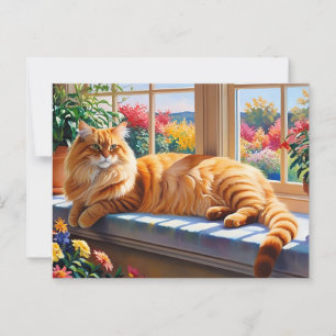 Carte Postale Chat Maine Coon orange 