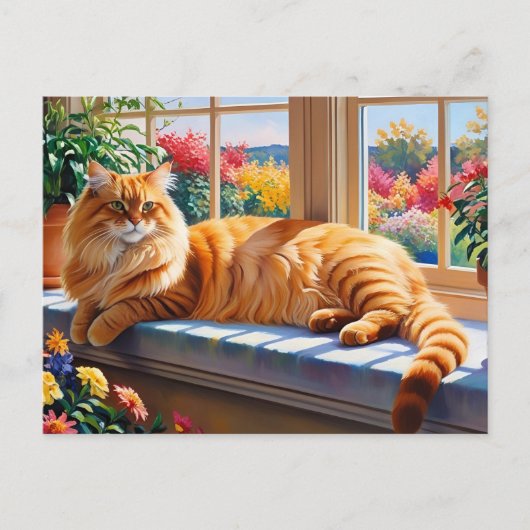 Carte Postale Chat Maine Coon orange  (Devant)
