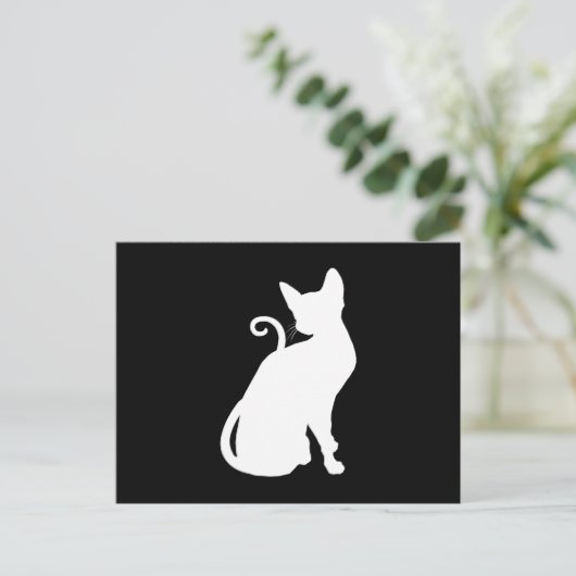 Carte Postale Chat Maison Blanche (Debout devant)