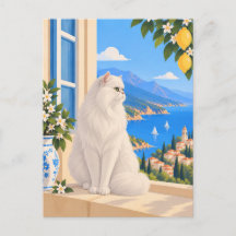 Chat méditerranéen persan blanc