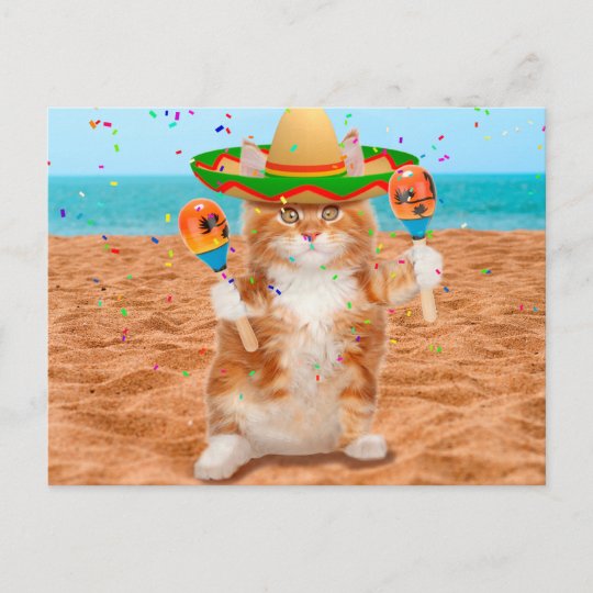 Carte Postale Chat Mexicain Chat Avec Des Maracas Plage Zazzle Be