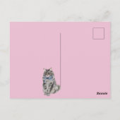 Carte Postale Chat mignon (Dos)