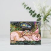 Carte Postale Chat Mignon (Debout devant)