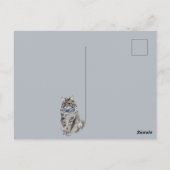 Carte Postale Chat Mignon (Dos)