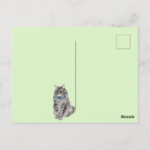 Carte Postale Chat mignon (Dos)