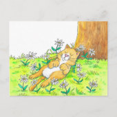 Carte Postale Chat mignon (Devant)