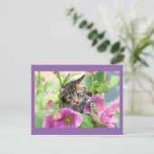 Carte Postale Chat mignon aux fleurs roses (Debout devant)