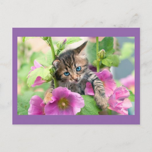 Carte Postale Chat mignon aux fleurs roses (Devant)