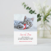 Carte Postale Chat mignon mignon rouge Noël Noël Noël Noël Enreg (Debout devant)