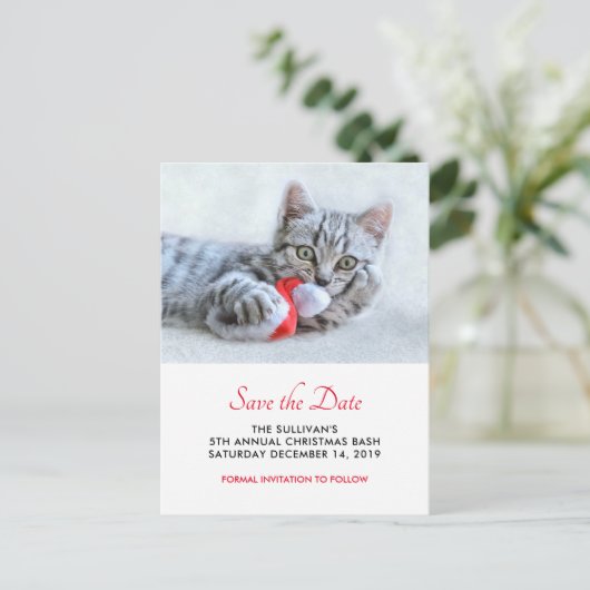 Carte Postale Chat mignon mignon rouge Noël Noël Noël Noël Enreg (Debout devant)