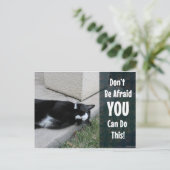 Carte Postale Chat mignon Ne Craignez Pas (Debout devant)