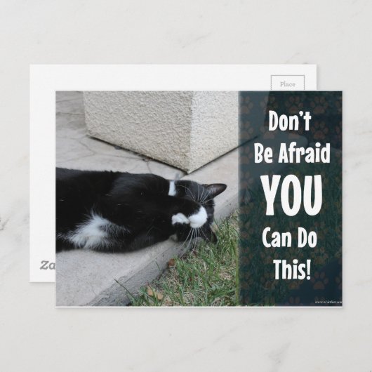 Carte Postale Chat mignon Ne Craignez Pas (Devant / Derrière)