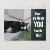 Carte Postale Chat mignon Ne Craignez Pas (Devant)