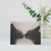 Carte postale chat mignonne (Debout devant)