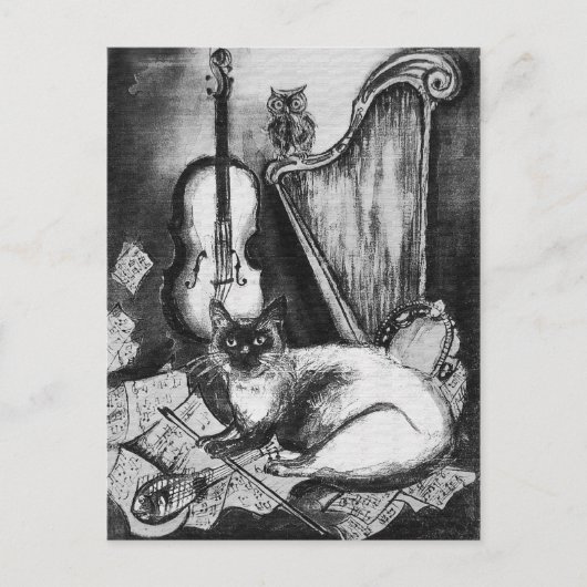 Carte Postale CHAT MUSICAL, OWL, VIOLIN, HARP Black White Grey M (Devant)