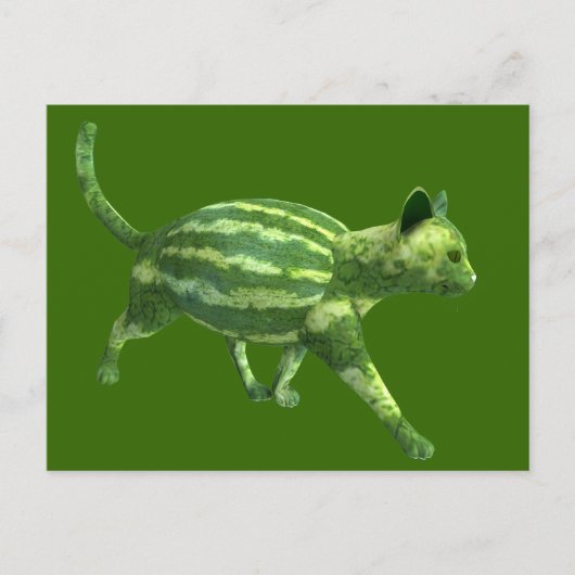 Carte Postale Chat national de la journée de la pastèque (Devant)