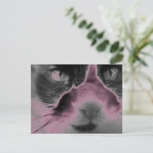 Carte Postale Chat Neon rose (Debout devant)