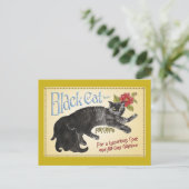Carte Postale Chat noir (Debout devant)