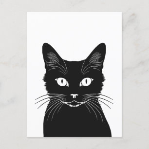 Carte Postale chat noir