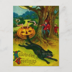 Carte Postale Chat noir