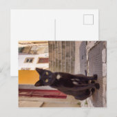 Carte Postale Chat noir (Devant / Derrière)