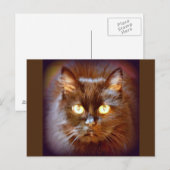 Carte Postale chat noir (Devant / Derrière)