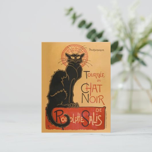 Carte Postale Chat noir (Debout devant)