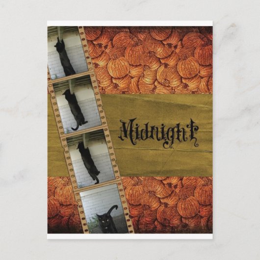 Carte Postale Chat noir (Devant)